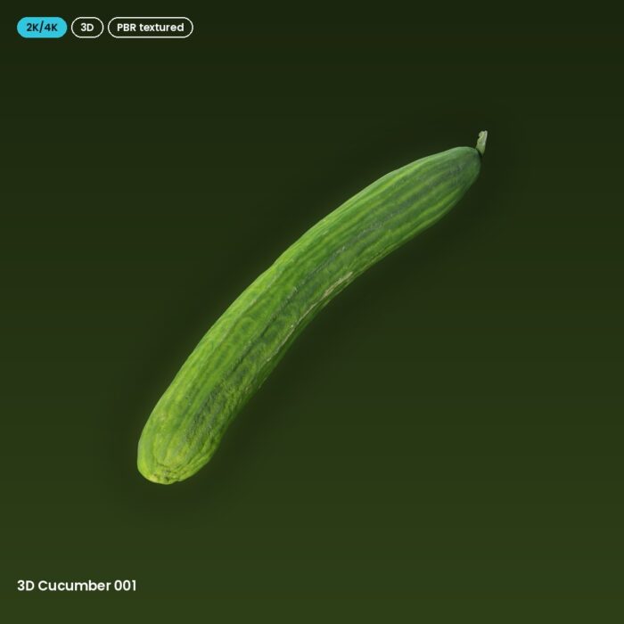 3D Cucumber 001