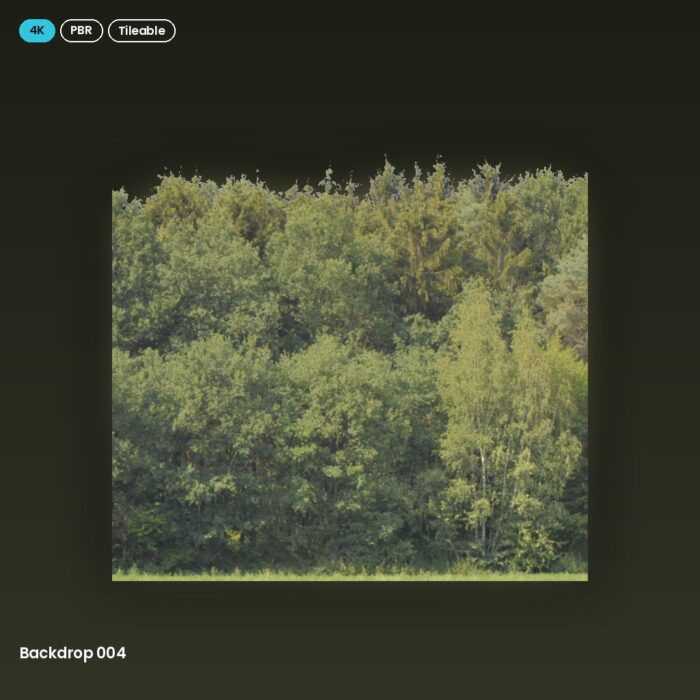 Backdrop 004