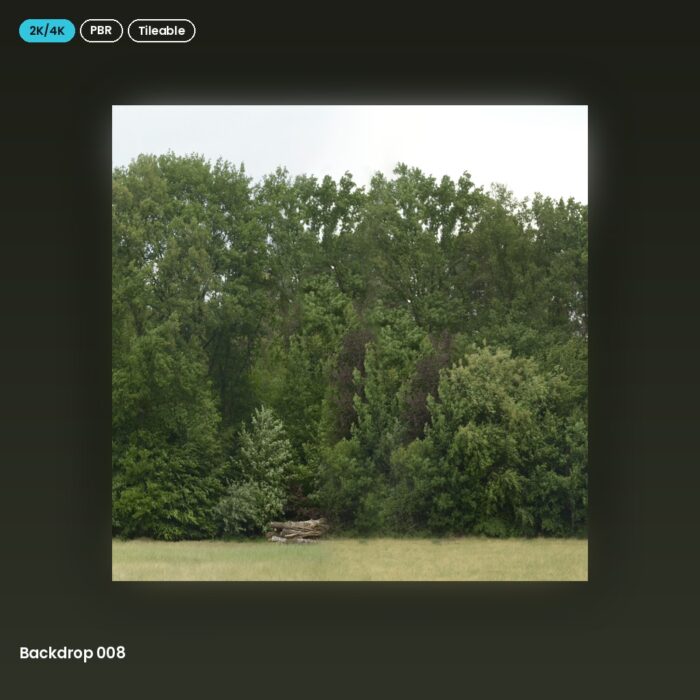 Backdrop 008