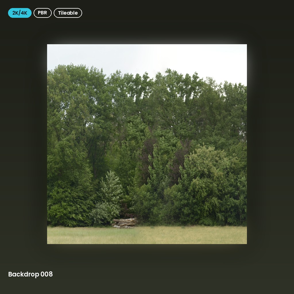 Backdrop 008