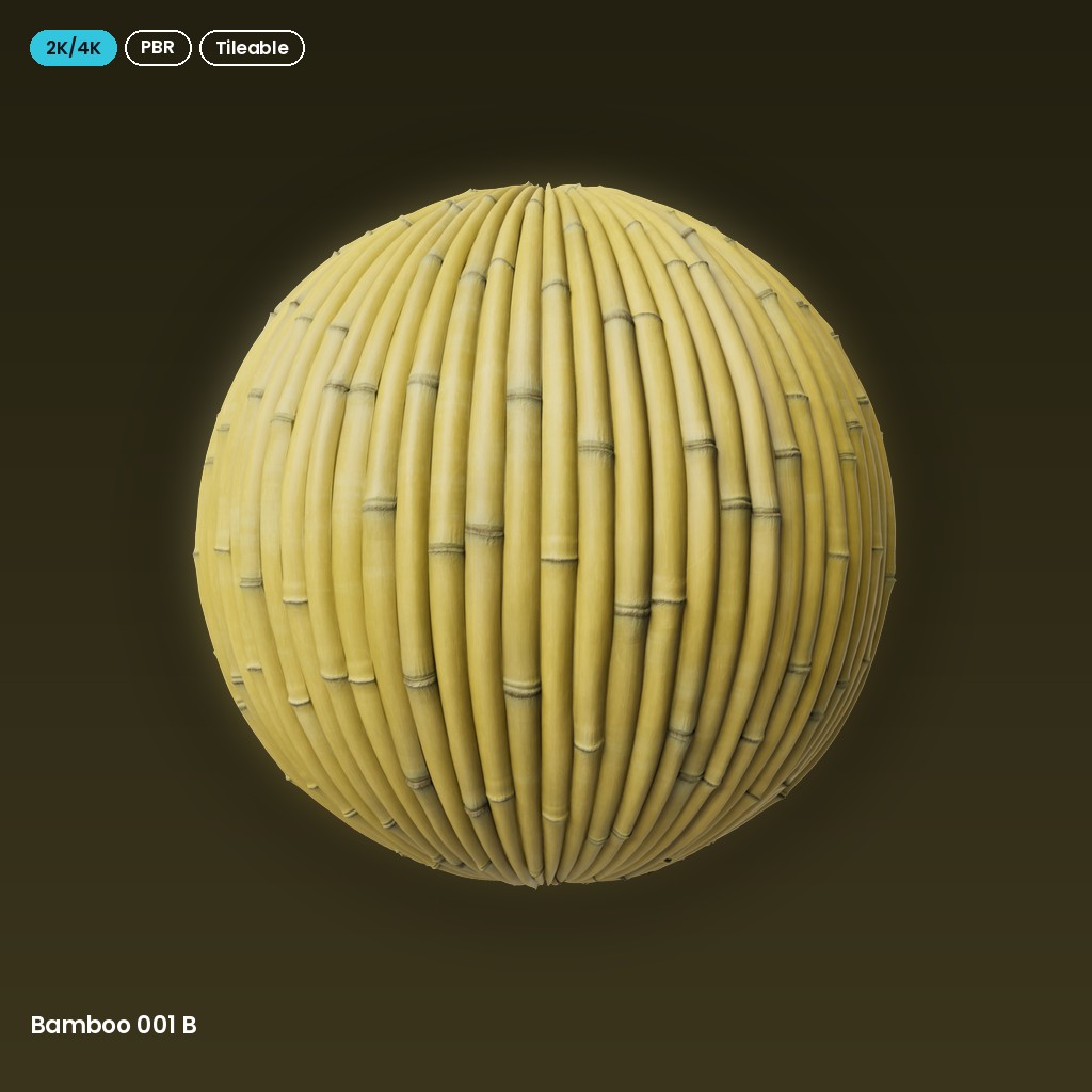 Bamboo 001 B