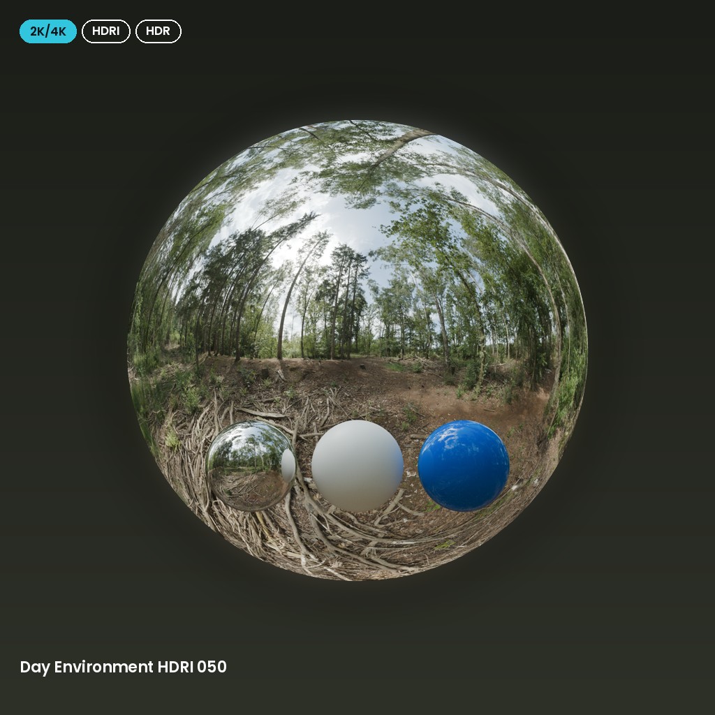 Day Environment HDRI 050