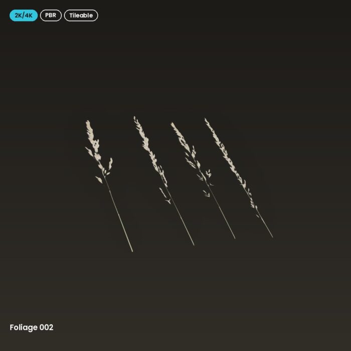 Foliage 002