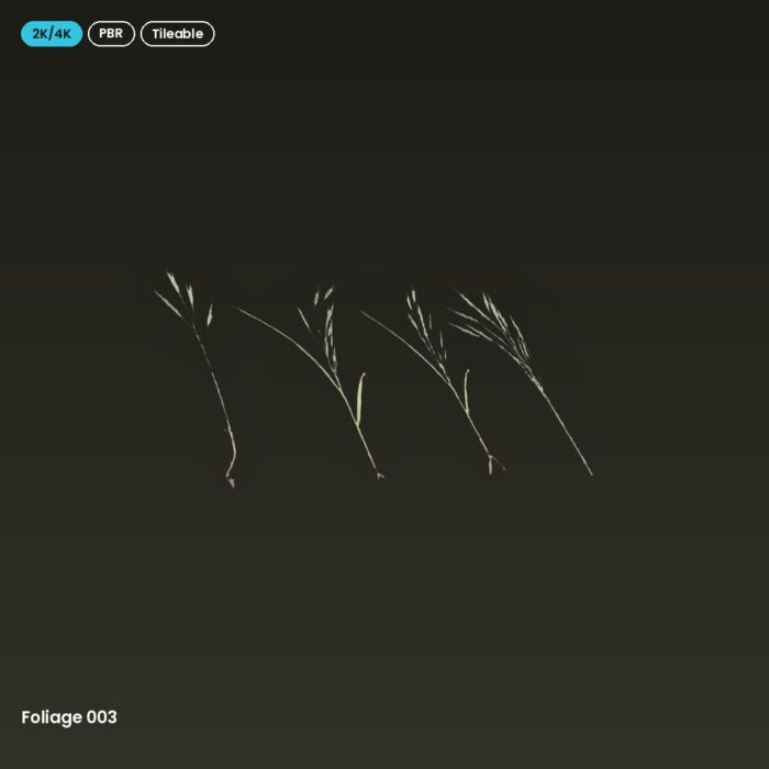 Foliage 003