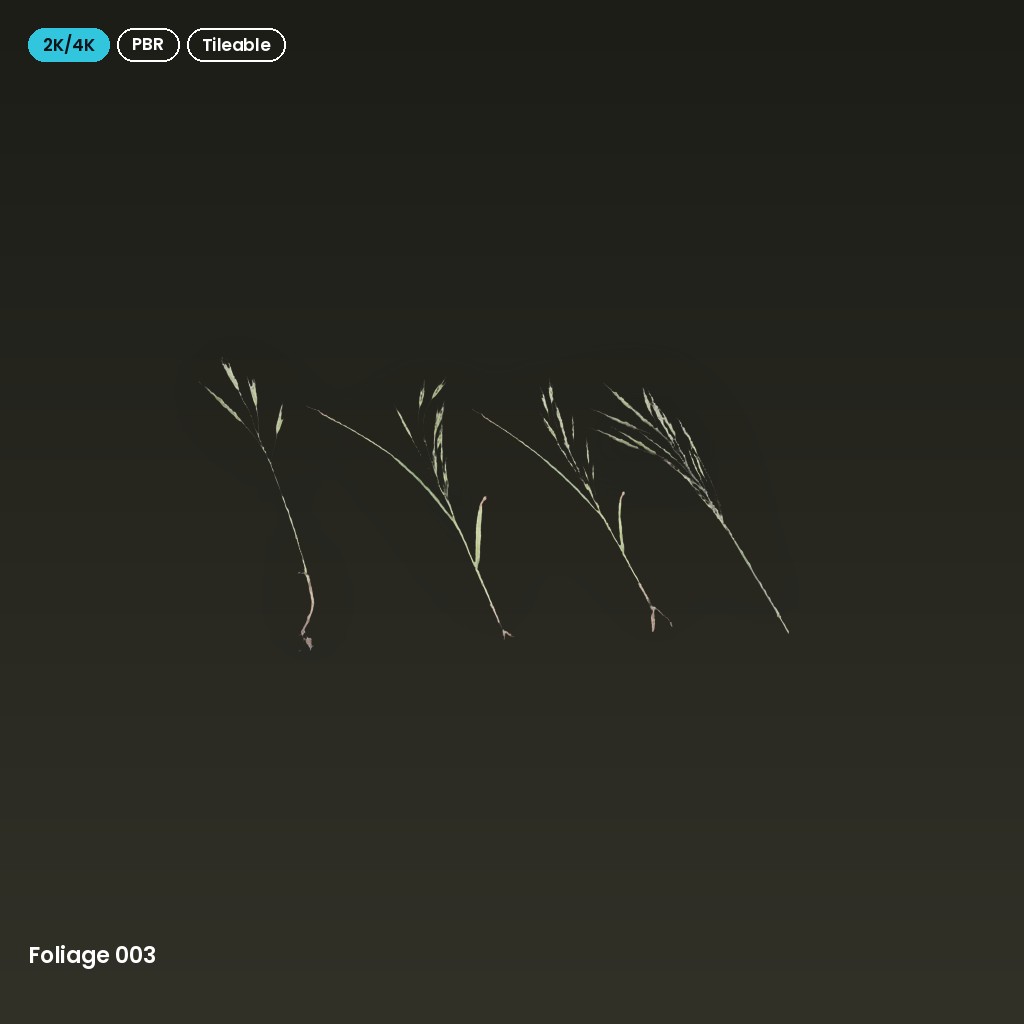 Foliage 003