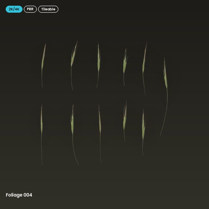 Foliage 004