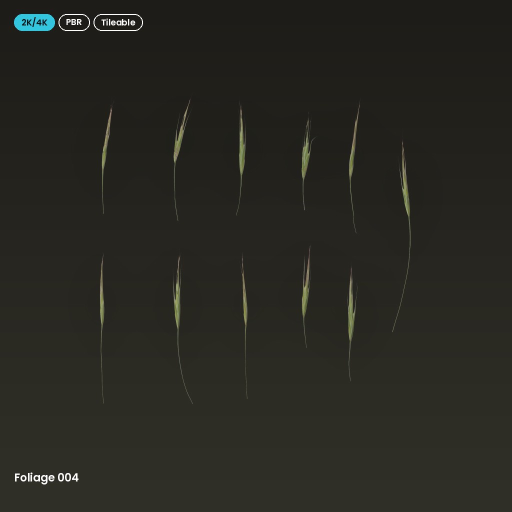 Foliage 004