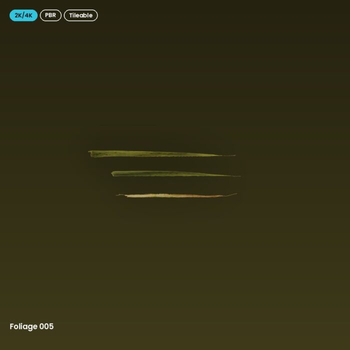 Foliage 005