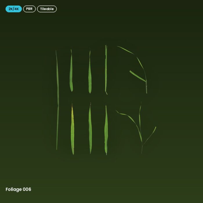 Foliage 006