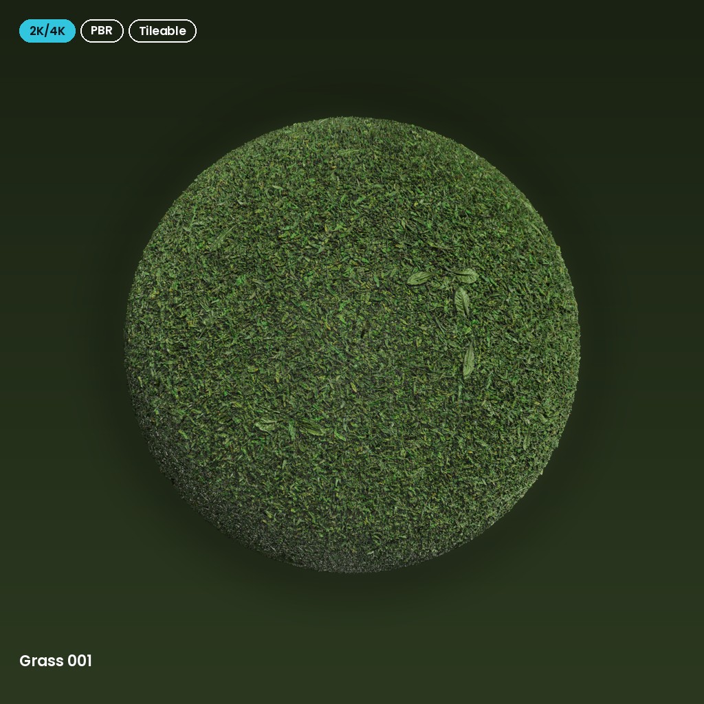 Grass 001