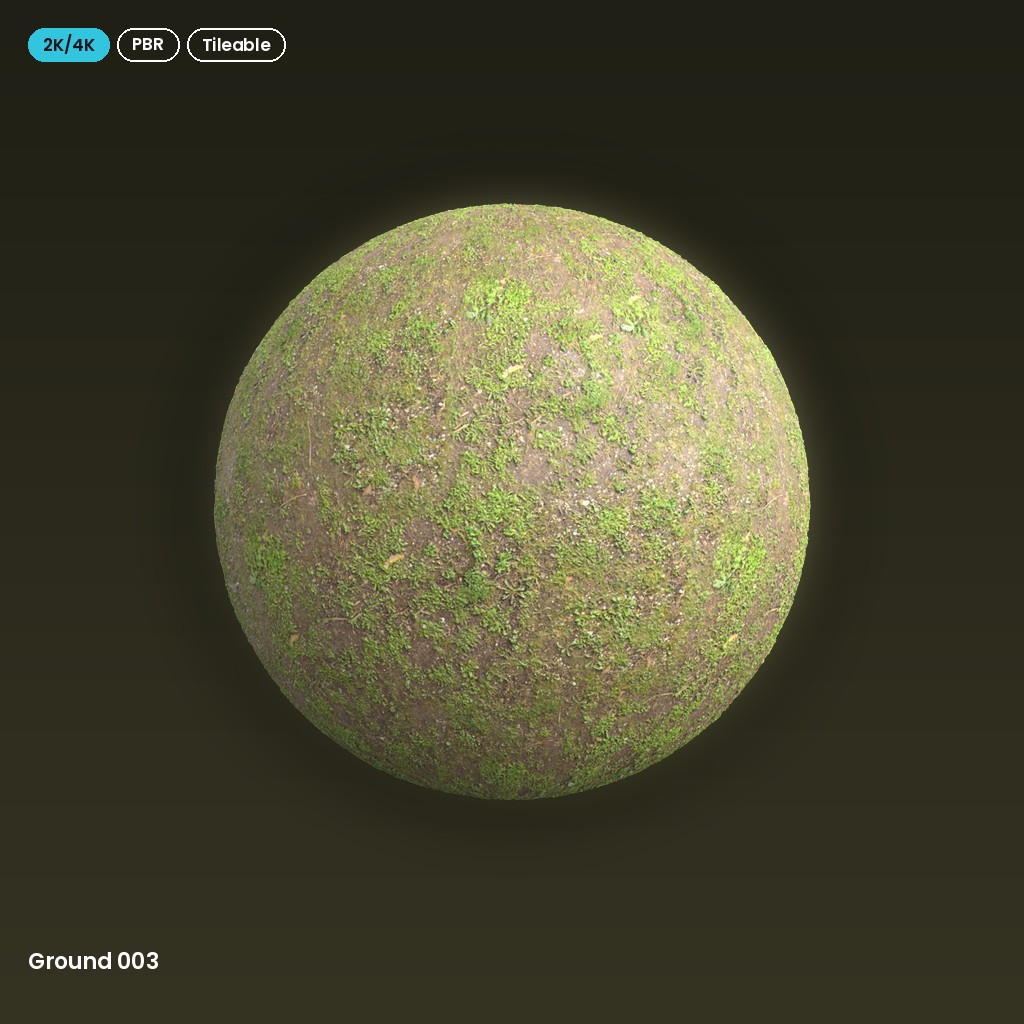 Ground 003