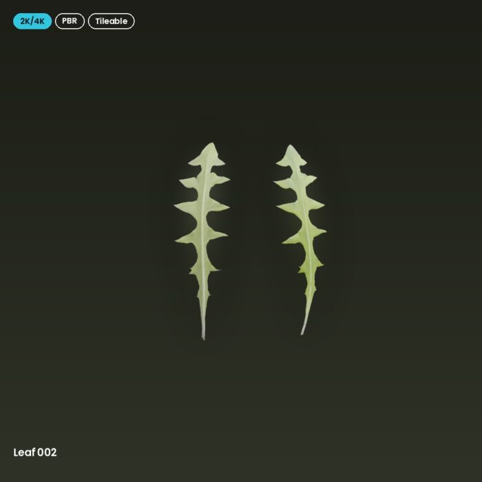 Leaf 002