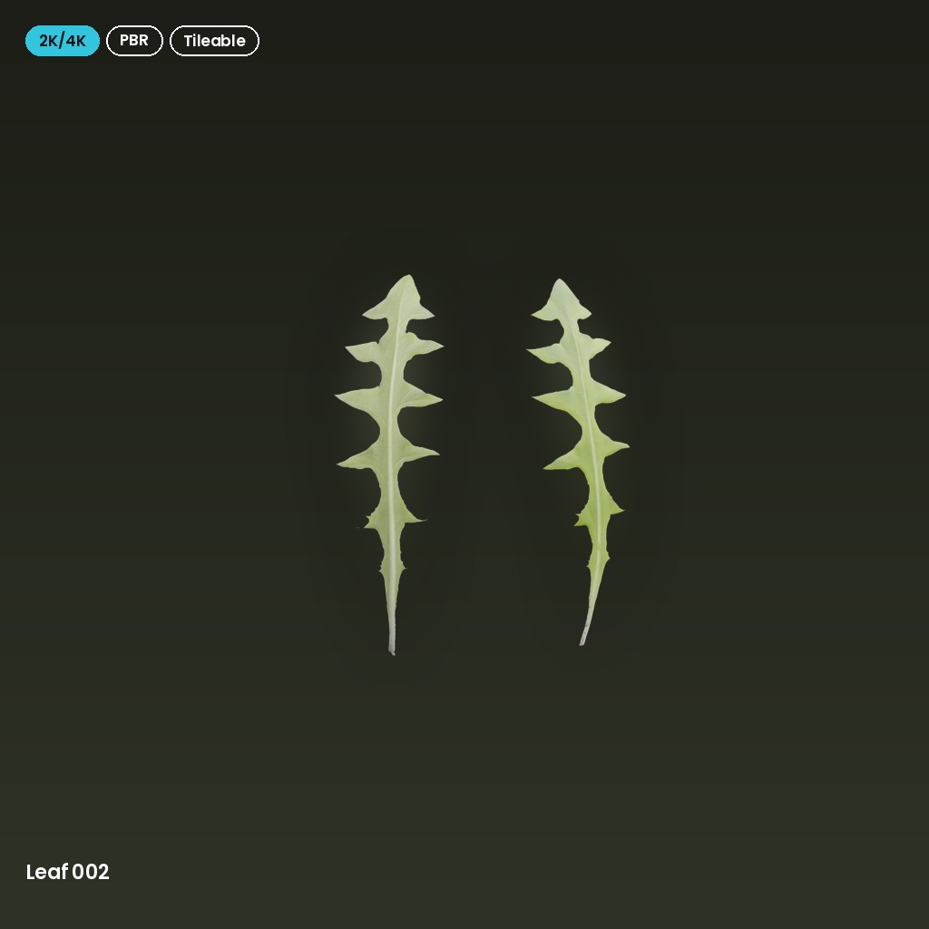 Leaf 002