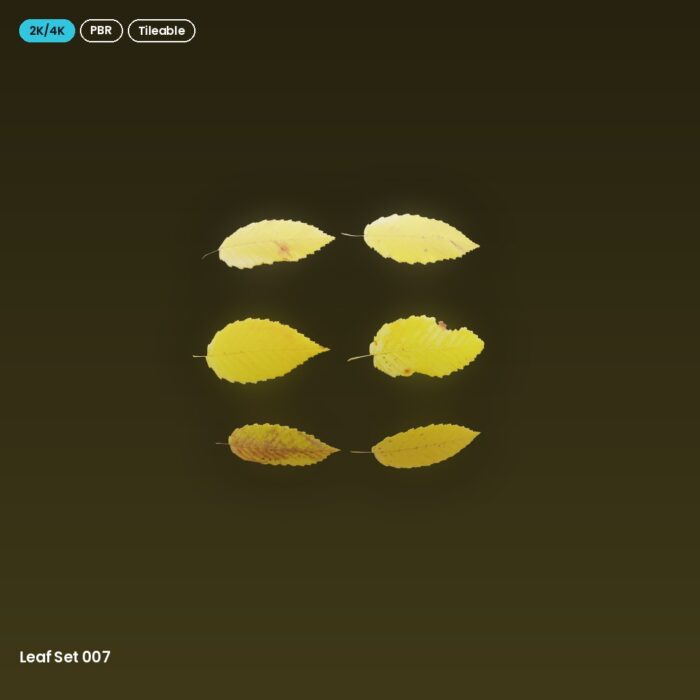 Leaf Set 007