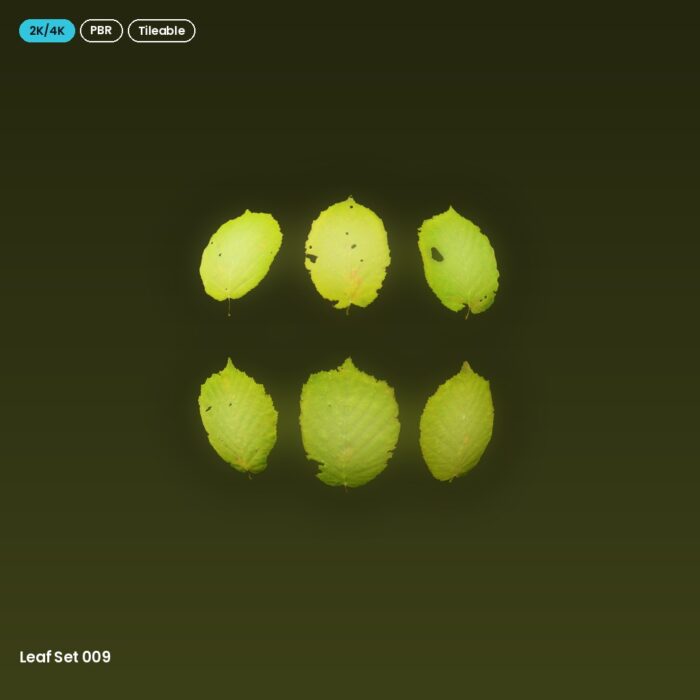 Leaf Set 009