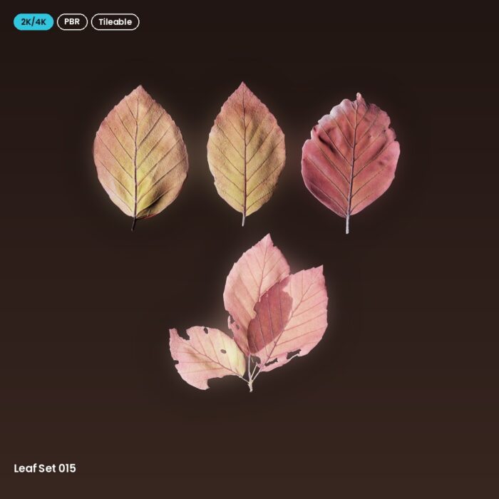 Leaf Set 015