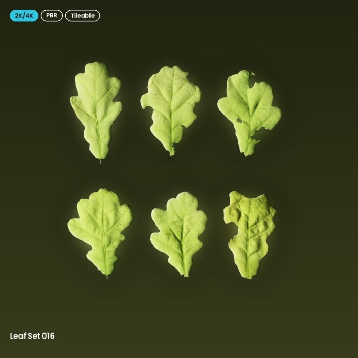 Leaf Set 016