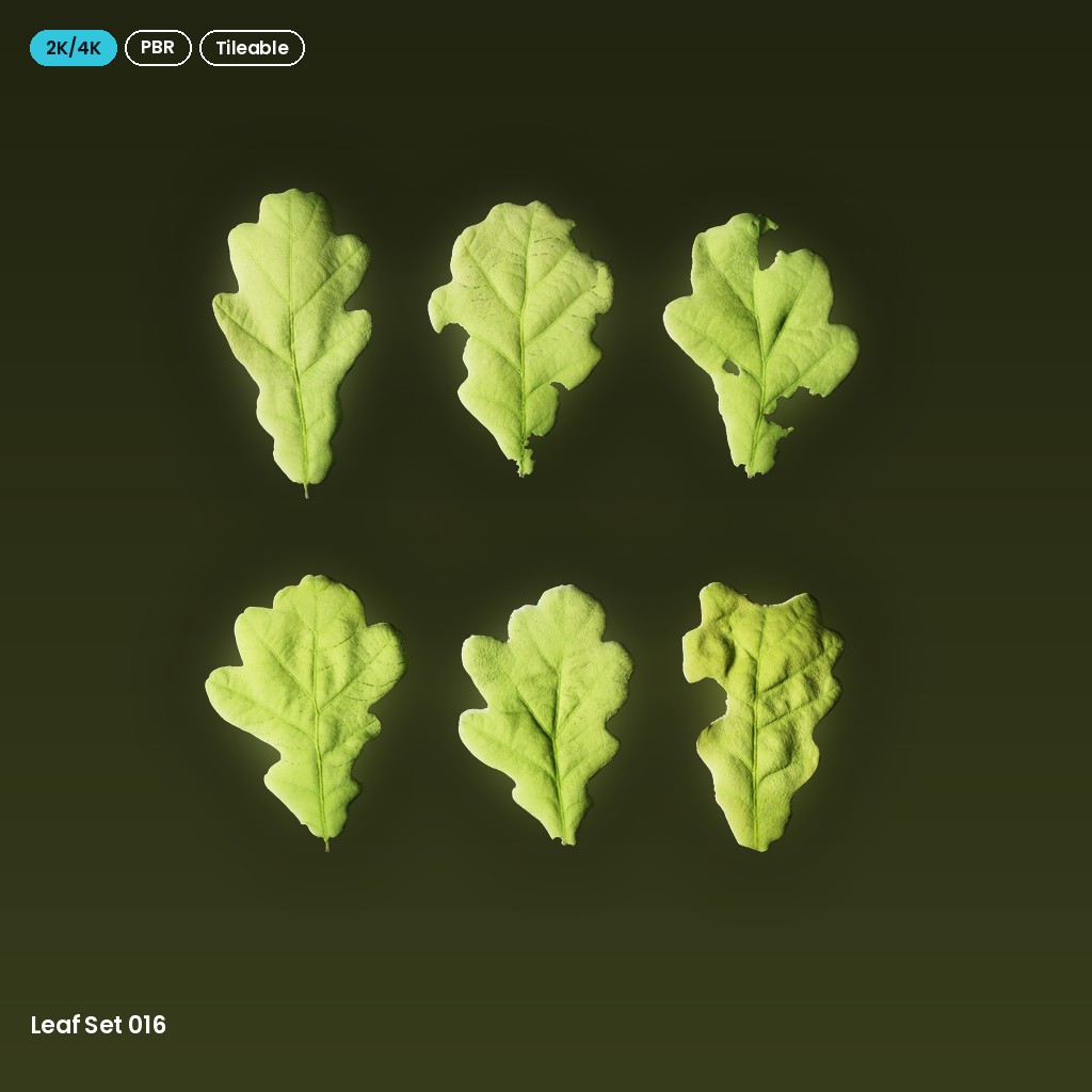 Leaf Set 016