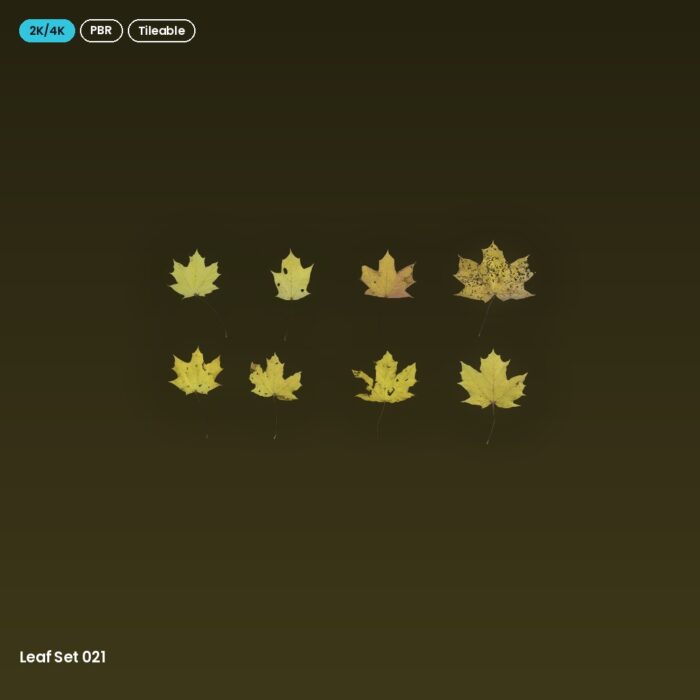 Leaf Set 021