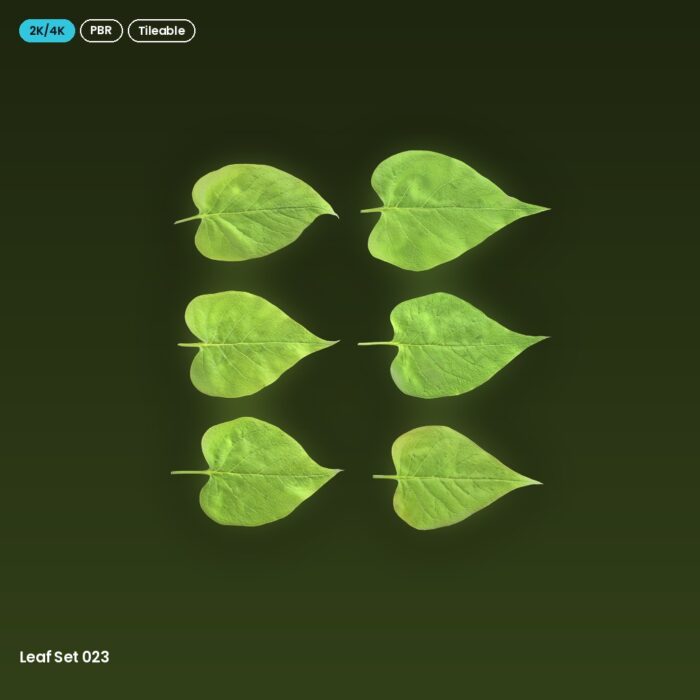 Leaf Set 023