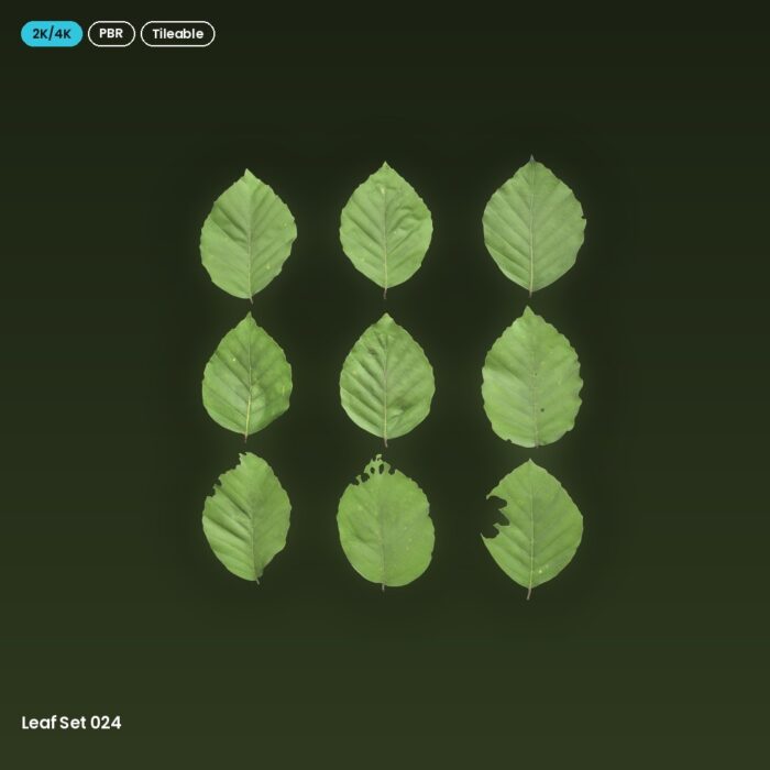 Leaf Set 024