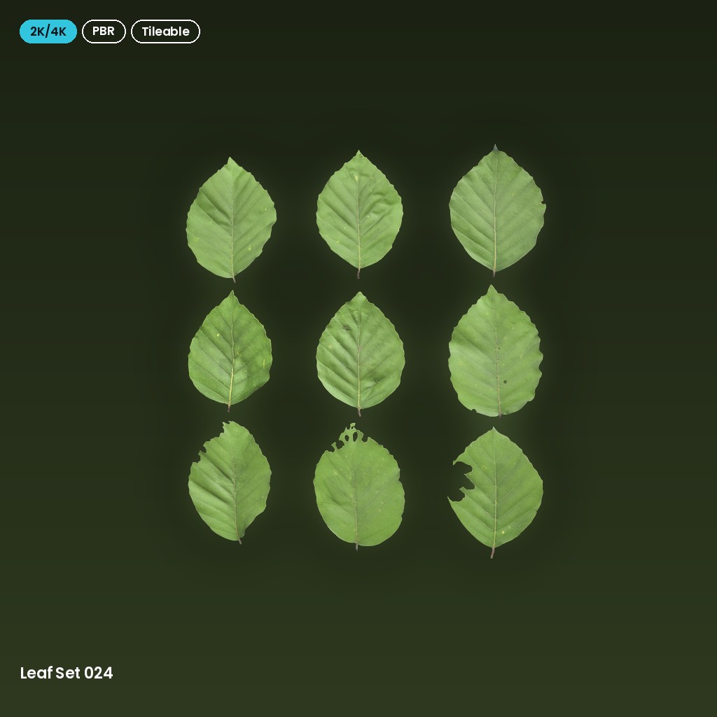 Leaf Set 024