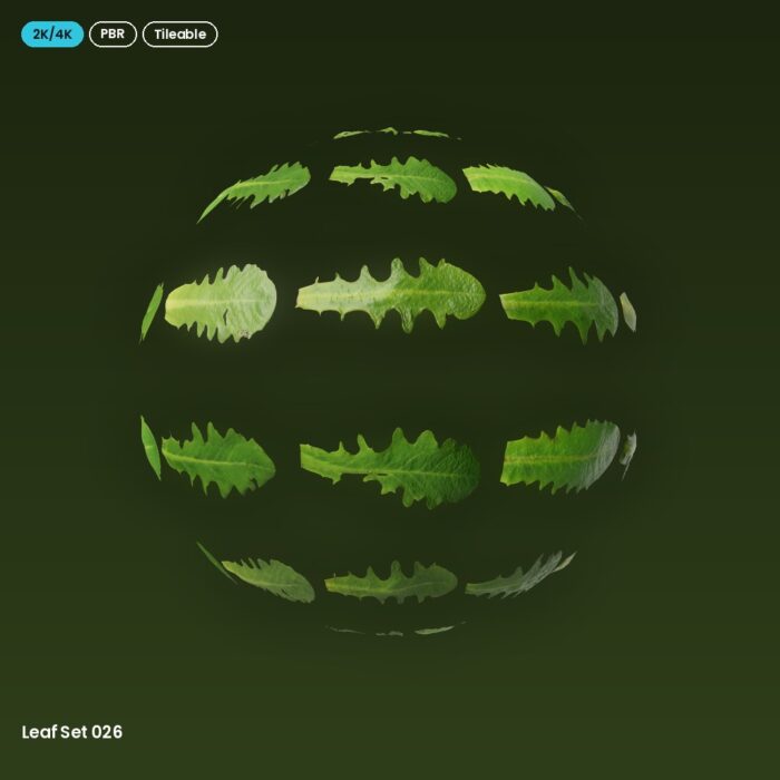 Leaf Set 026