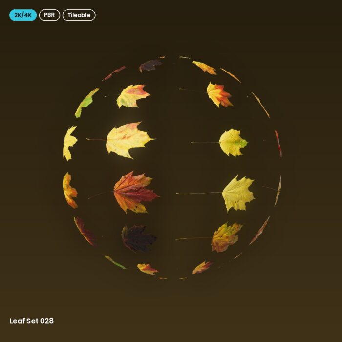 Leaf Set 028