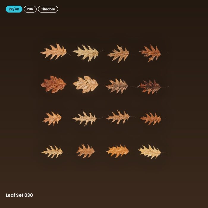 Leaf Set 030