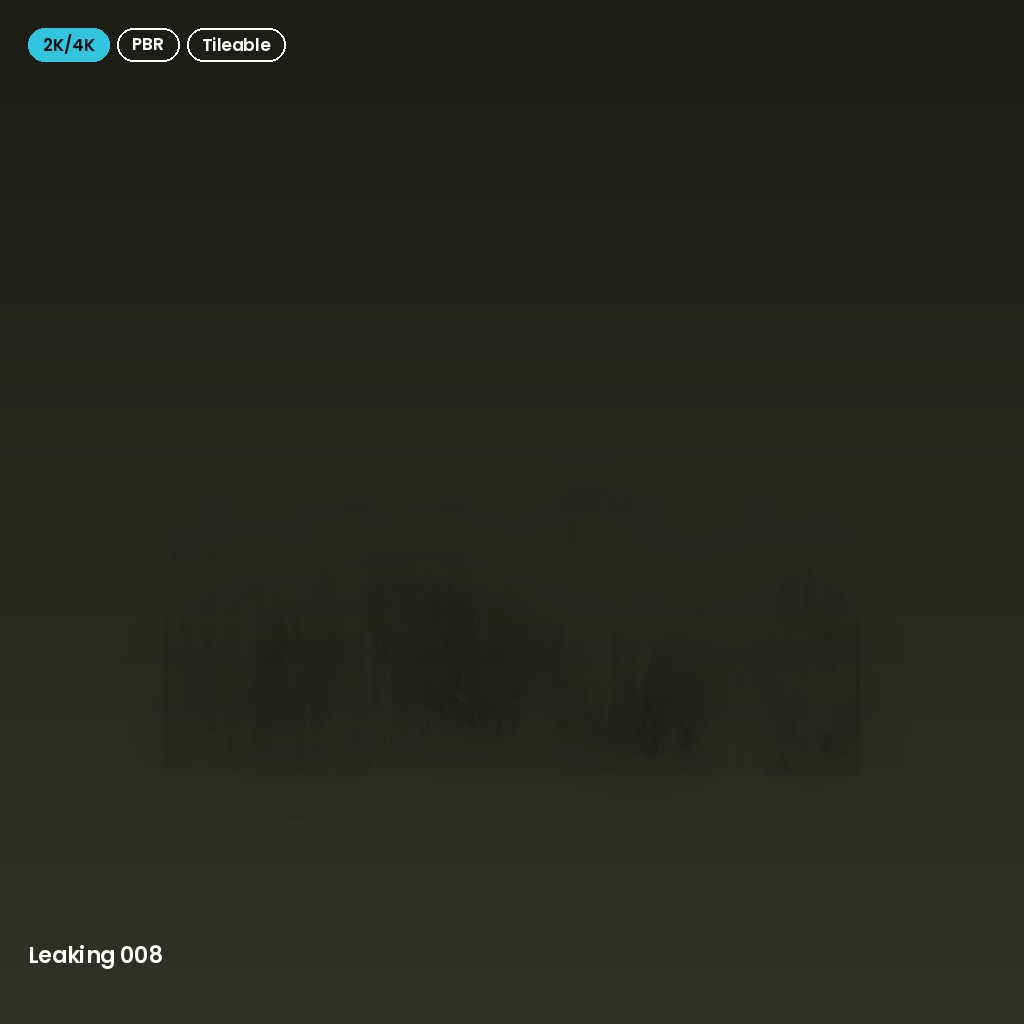 Leaking 008