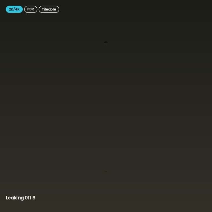 Leaking 011 B