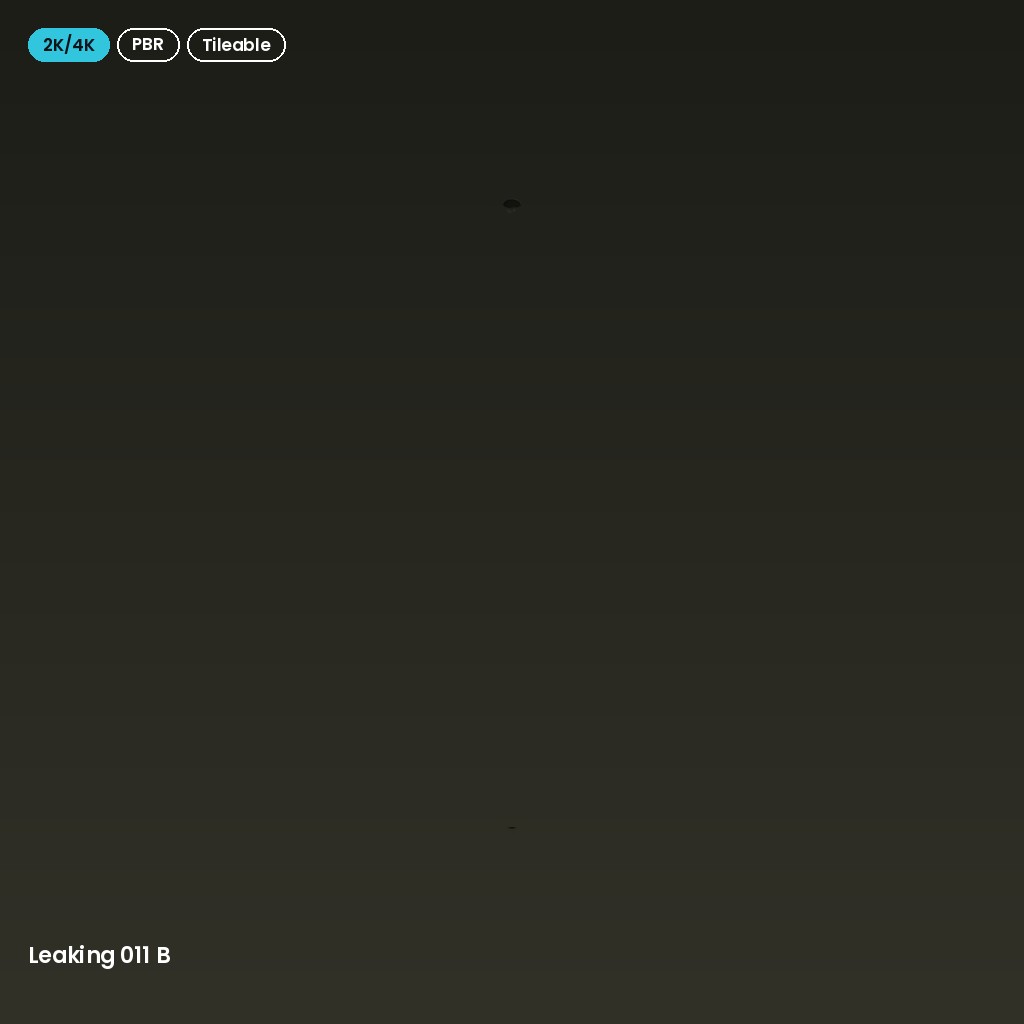Leaking 011 B