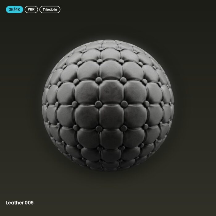 Leather 009