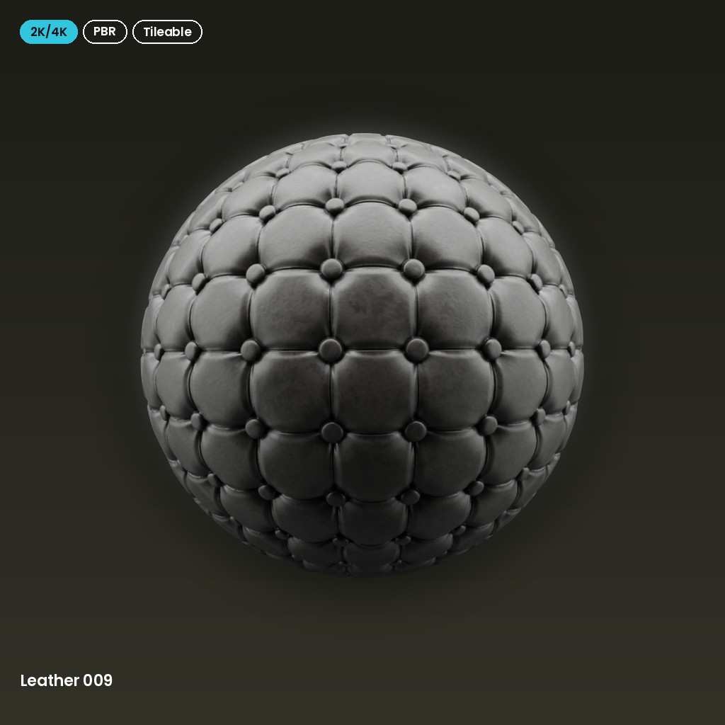 Leather 009