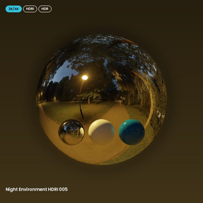 Night Environment HDRI 005