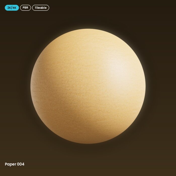 Paper 004