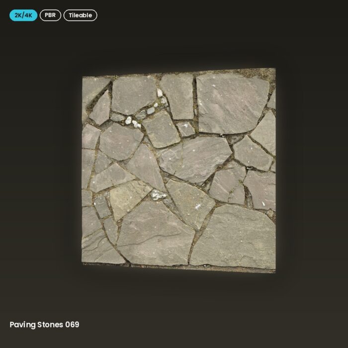 Paving Stones 069