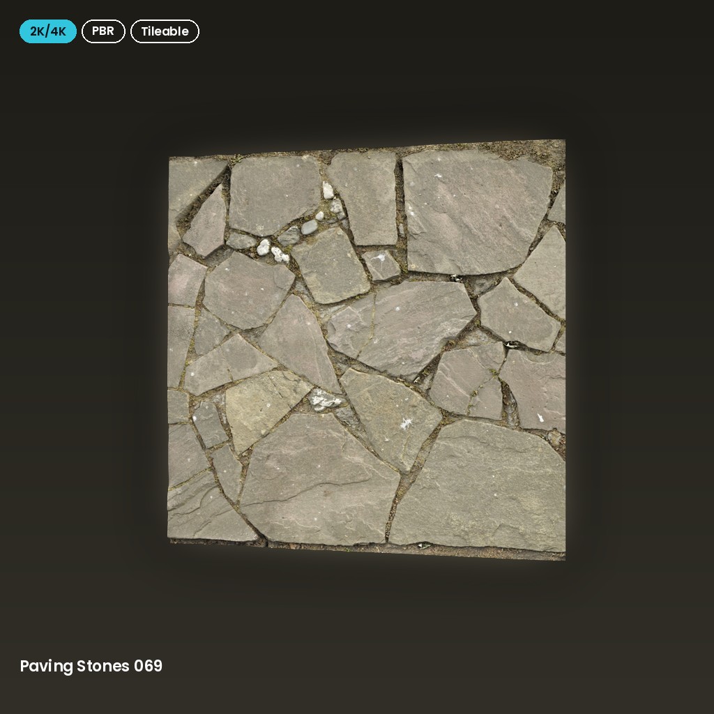Paving Stones 069