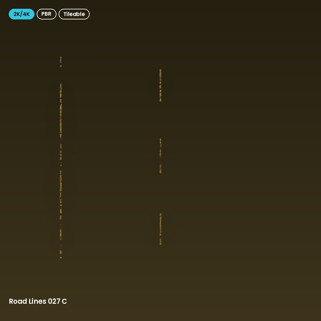 Road Lines 027 C