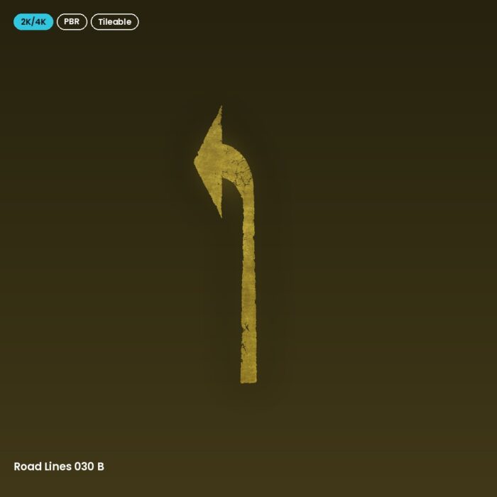 Road Lines 030 B