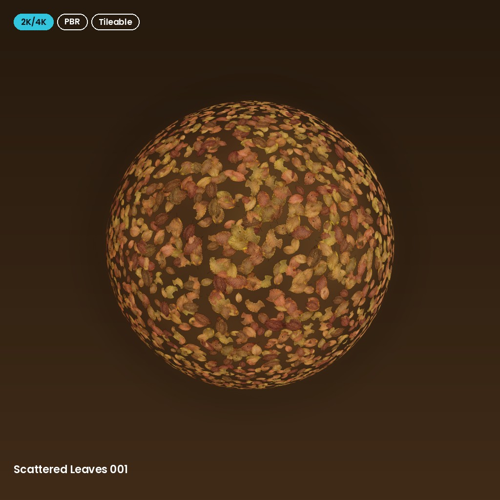 Scattered Leaves 001