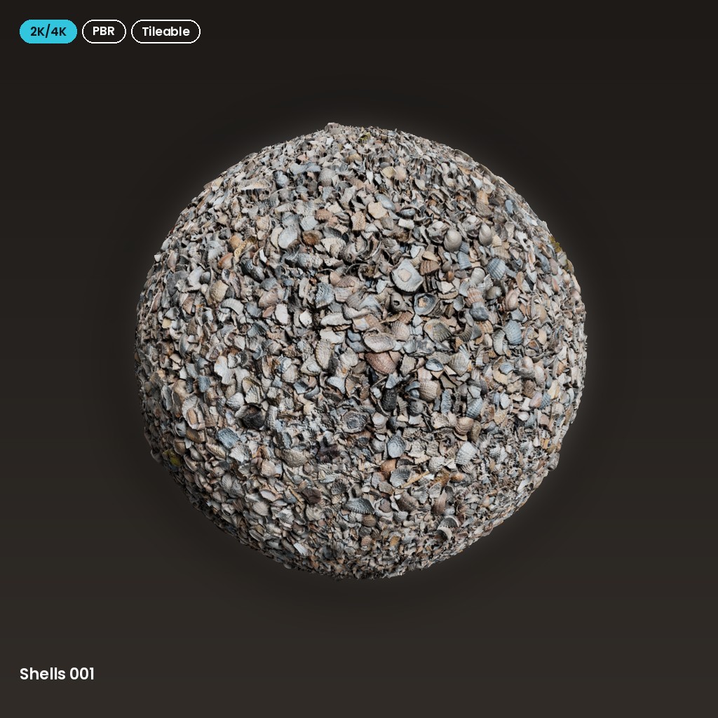 Shells 001