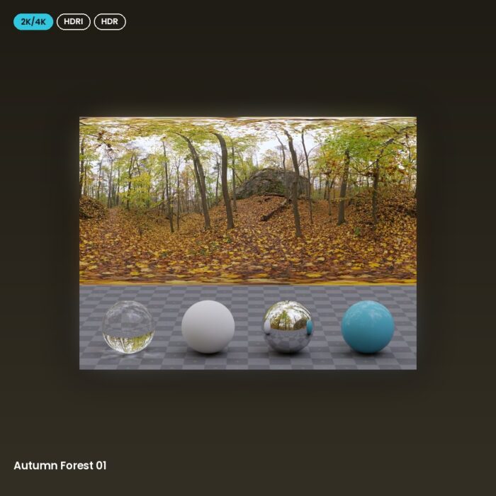 Autumn Forest 01