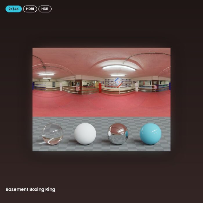 Basement Boxing Ring