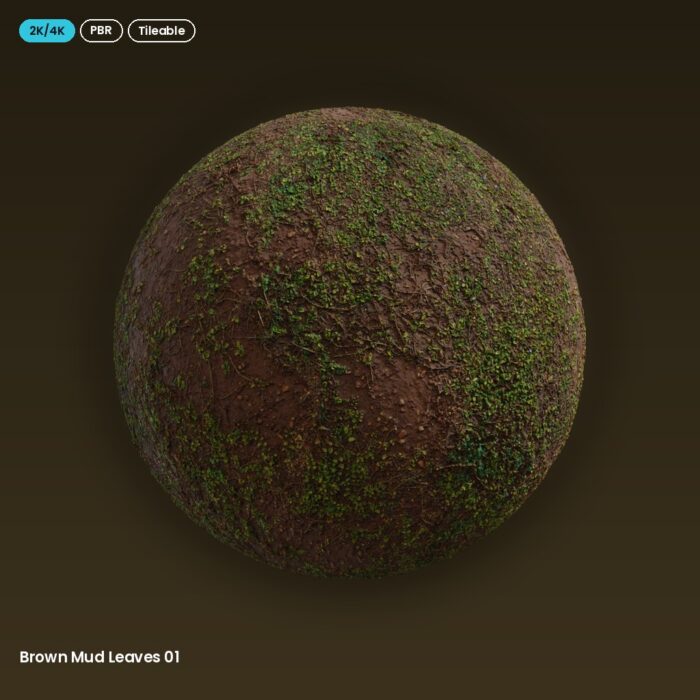 Brown Mud Leaves 01