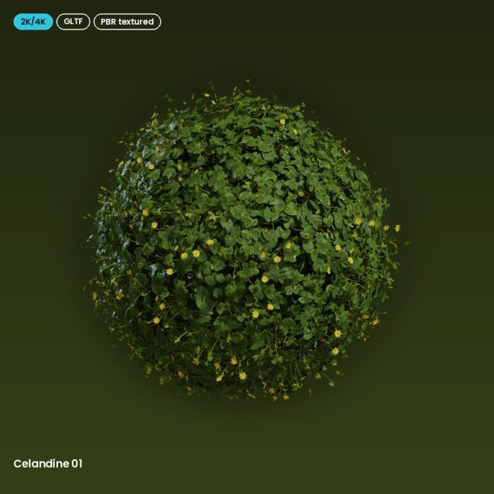 Celandine 01