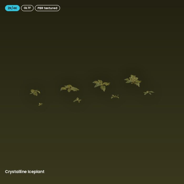 Crystalline Iceplant