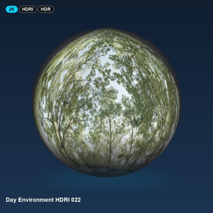 Day Environment HDRI 022