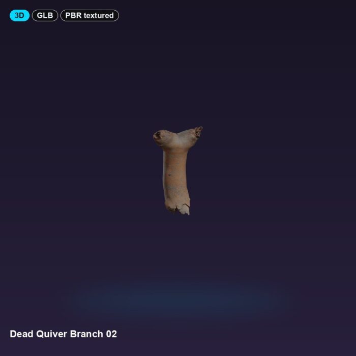 Dead Quiver Branch 02