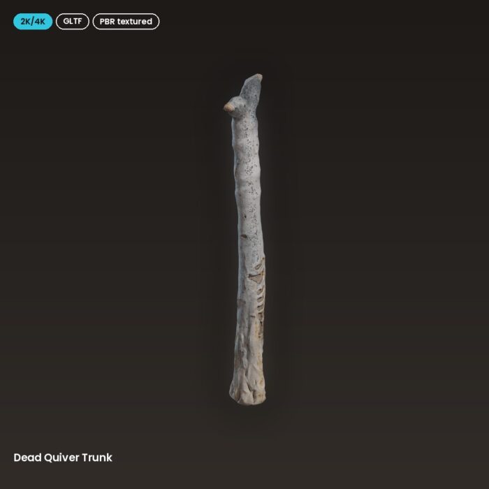 Dead Quiver Trunk